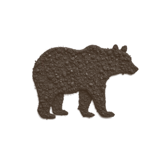 Bear, drawn in coffee grounds