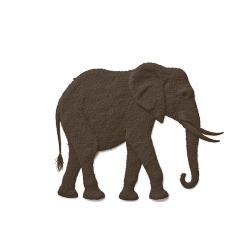 Elephant, drawn in coffee grounds