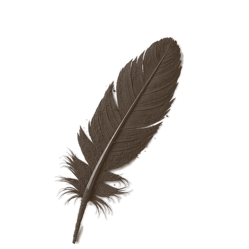 Feather, drawn in coffee grounds