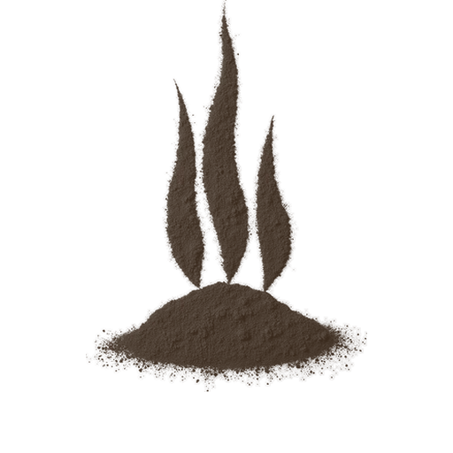 Fire, drawn in coffee grounds
