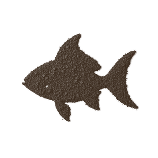 Fish, drawn in coffee grounds