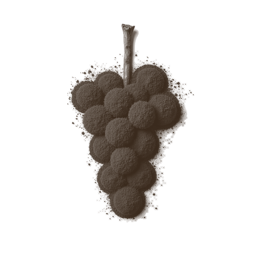 Grapes, drawn in coffee grounds