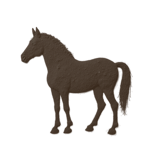 Horse, drawn in coffee grounds