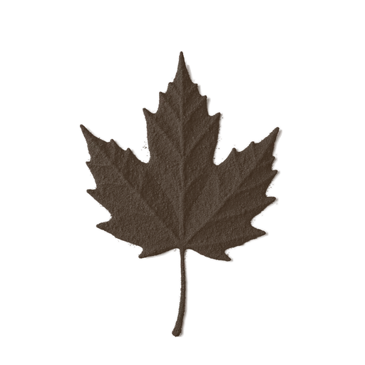 Leaf, drawn in coffee grounds