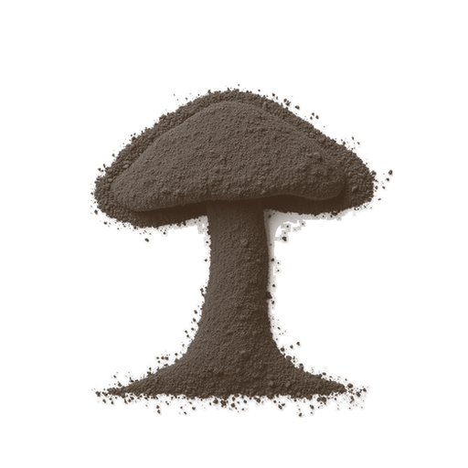 Mushroom, drawn in coffee grounds