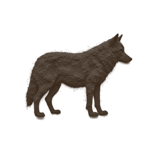 Wolf, drawn in coffee grounds